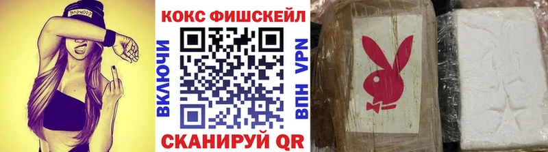 Cocaine Fish Scale  Купить  Котельниково 