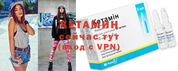 гашик Дмитров