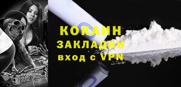 стафф Гусев