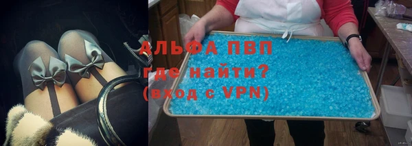 стафф Гусев