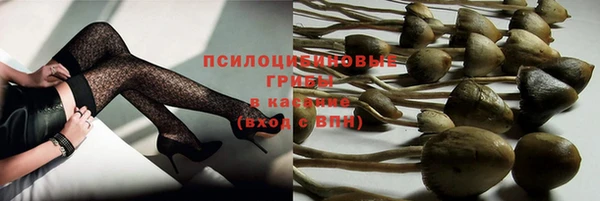 COCAINE Гусь-Хрустальный