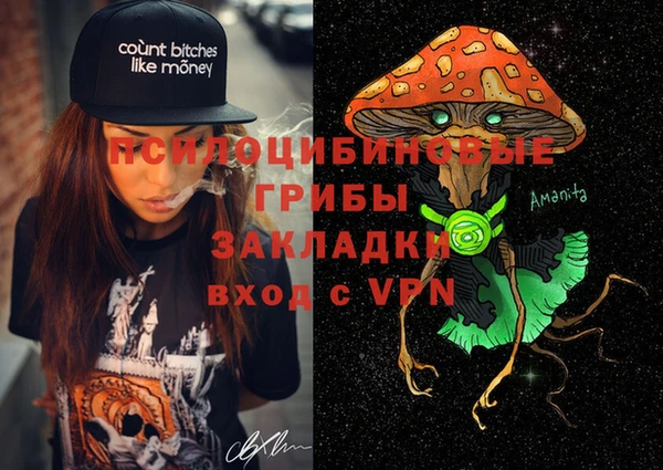 стафф Гусев