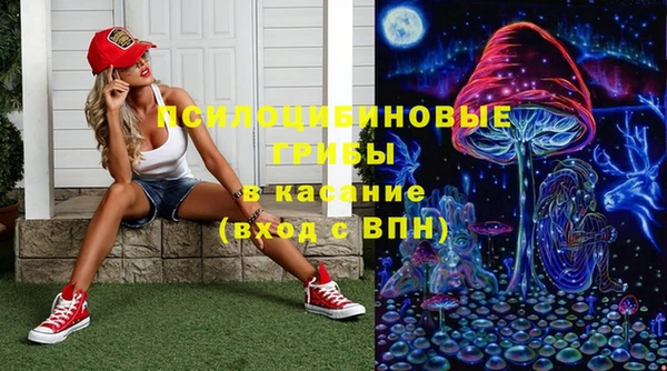 стафф Гусев