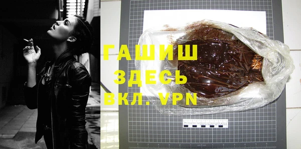 гашик Дмитров