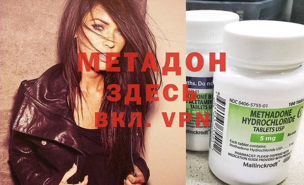 гашик Дмитров