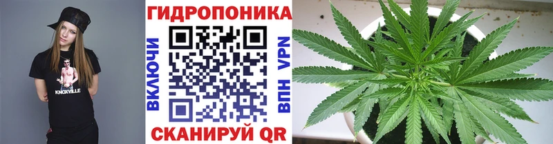 Купить где  Котельниково  Канабис сатива 